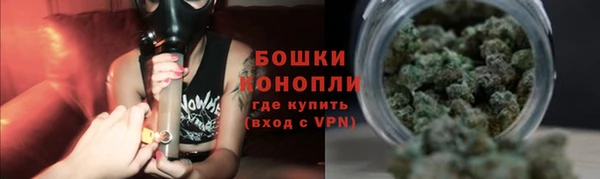 сатива Баксан