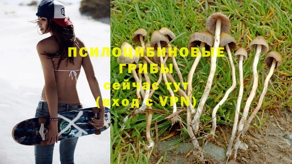 дурь Аркадак