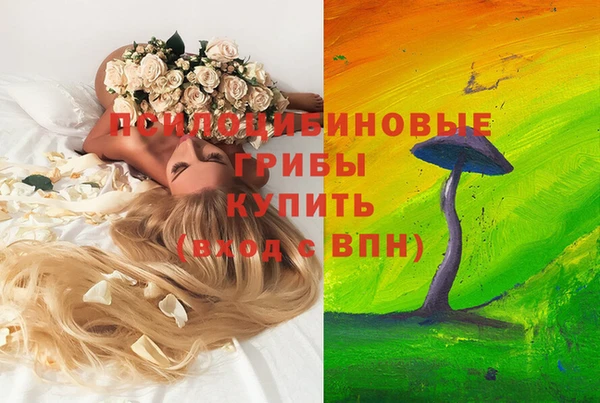 дурь Аркадак