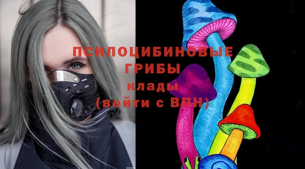 дурь Аркадак