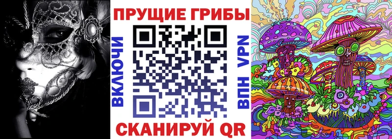 Псилоцибиновые грибы Cubensis Трёхгорный